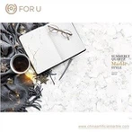 White Quartz Countertop